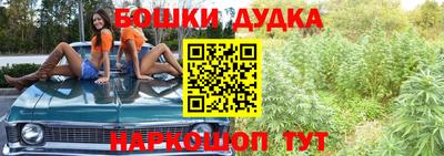 индика Северобайкальск