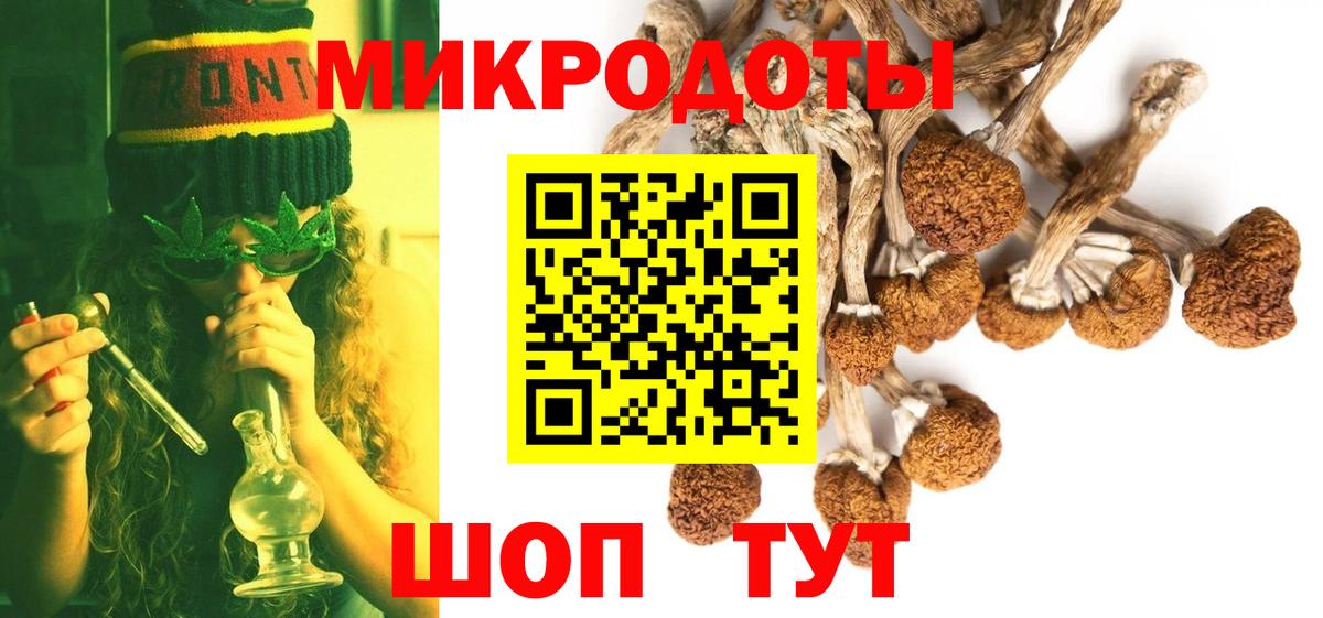 Псилоцибиновые грибы Psilocybine cubensis  Вход с VPN  Острогожск 